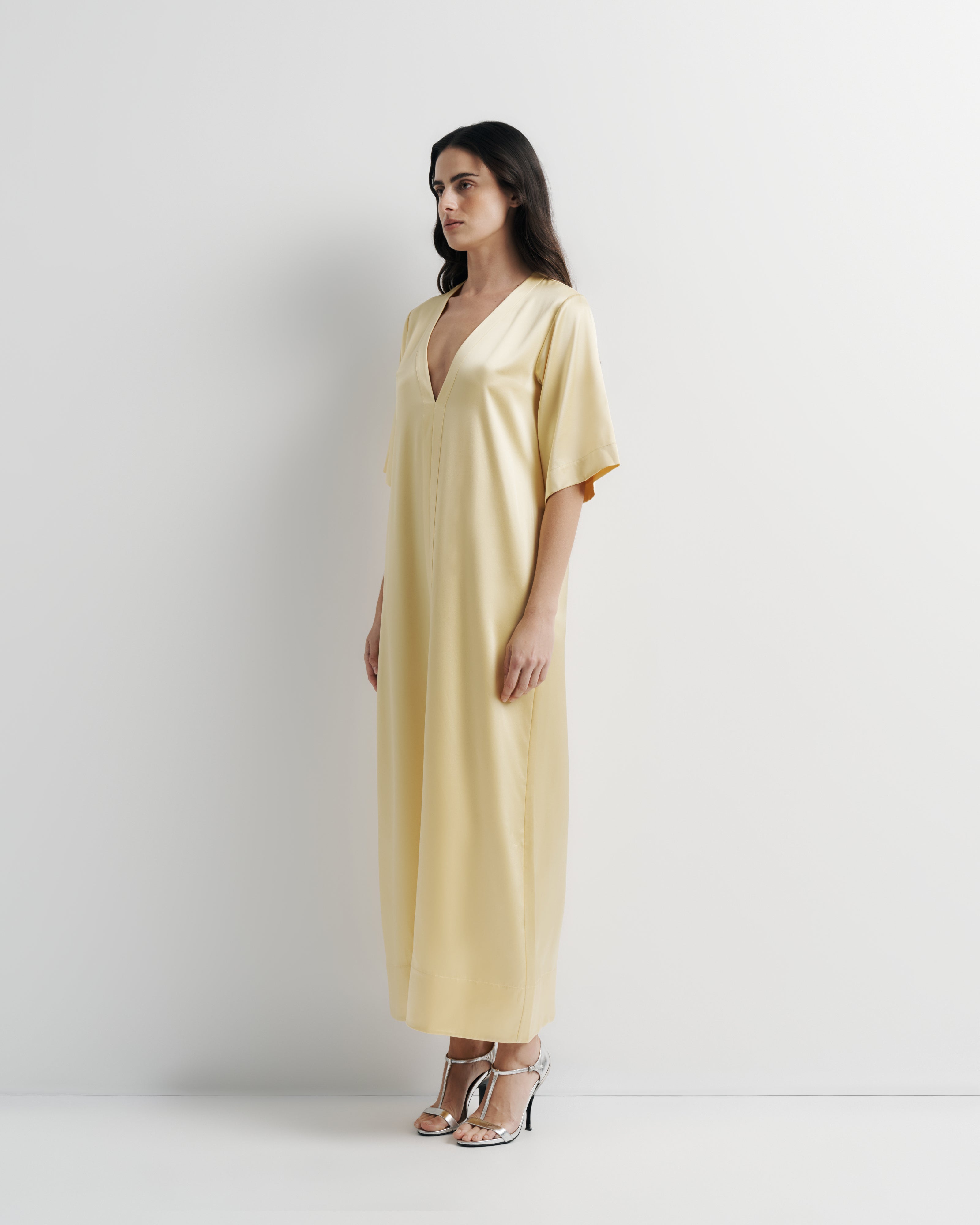 Celina Silk Dress